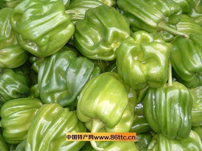 圆椒 农林牧渔行业的绿色珍宝，原产地特产的骄傲
